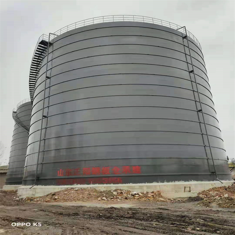 通榆3万吨大型钢板库